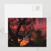 Carte Postale Coucher de soleil d'Ojai (Devant / Derrière)