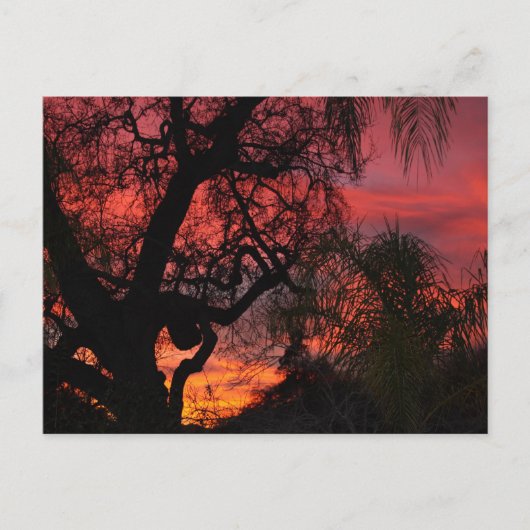 Carte Postale Coucher de soleil d'Ojai (Devant)