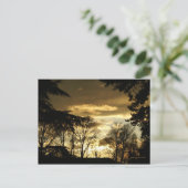 Carte Postale coucher de soleil doré (Debout devant)