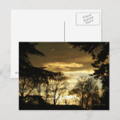 Carte Postale coucher de soleil doré (Devant / Derrière)