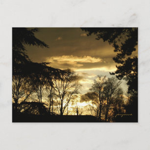 Carte Postale coucher de soleil doré