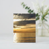 Carte Postale coucher de soleil doré du pacifique (Debout devant)