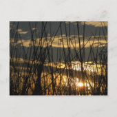 Carte Postale Coucher de soleil d'Orlando (Devant)