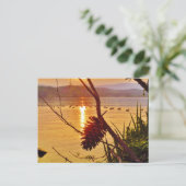 Carte Postale Coucher de soleil du lac Pinecone (Debout devant)