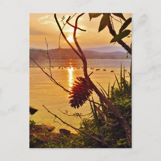 Carte Postale Coucher de soleil du lac Pinecone (Devant)