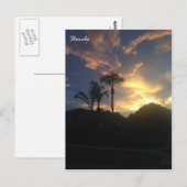 Carte Postale Coucher de soleil du palmier (Devant / Derrière)