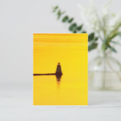 Carte Postale Coucher de soleil du phare (Debout devant)