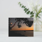 Carte Postale Coucher de soleil du port de Dana Point (Debout devant)