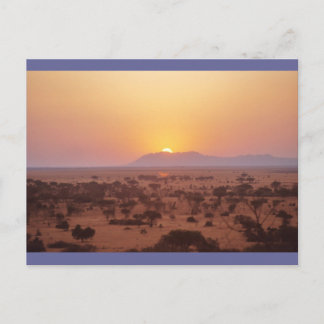 Carte Postale Coucher de soleil du Serengeti