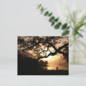 Carte Postale Coucher de soleil écossais en face d'un loch (Debout devant)