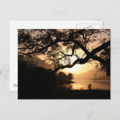 Carte Postale Coucher de soleil écossais en face d'un loch (Devant / Derrière)