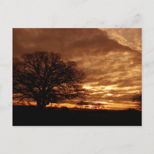 Carte Postale Coucher de soleil en Californie (Devant)