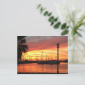 Carte Postale Coucher de soleil en Floride (Debout devant)