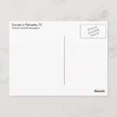 Carte Postale Coucher de soleil en Floride (Dos)