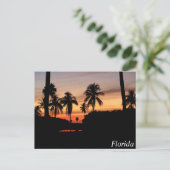 Carte Postale coucher de soleil en Floride (Debout devant)