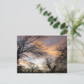 Carte Postale Coucher de soleil en hiver (Debout devant)