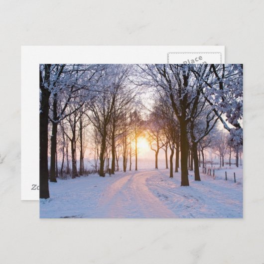 Carte Postale Coucher de soleil en hiver (Devant / Derrière)