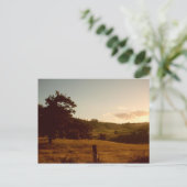 Carte Postale Coucher de soleil estival tasmanien (Debout devant)