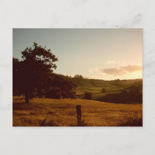 Carte Postale Coucher de soleil estival tasmanien