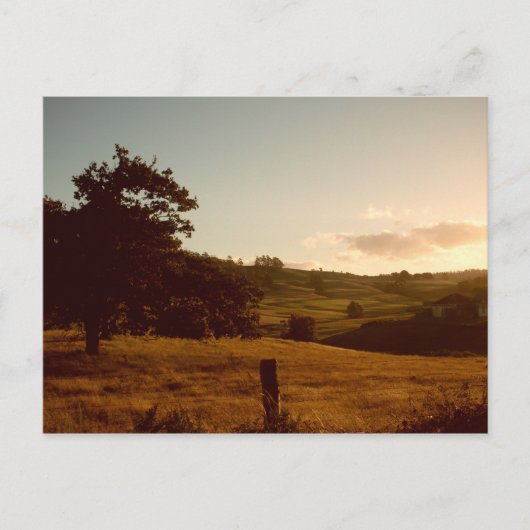 Carte Postale Coucher de soleil estival tasmanien (Devant)