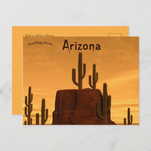 Carte Postale Coucher de soleil et cactus rocheux à Sedona Arizo (Devant / Derrière)