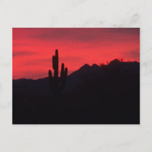 Carte Postale coucher de soleil flou- mais a dû le poster- trop