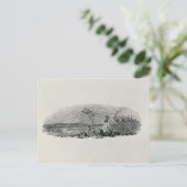 Carte Postale Coucher de soleil hivernal (Debout devant)