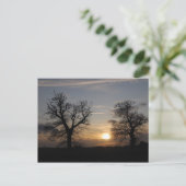 Carte Postale Coucher de soleil Lincolnshire (Debout devant)