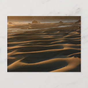 Carte Postale Coucher de soleil, Meyers Beach, Oregon, États-Uni