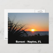 Carte Postale Coucher de soleil - Naples, FL (Devant / Derrière)