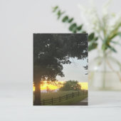Carte Postale Coucher de soleil nuageux l'après-midi (Debout devant)