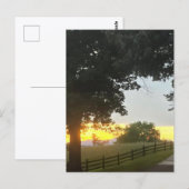 Carte Postale Coucher de soleil nuageux l'après-midi (Devant / Derrière)