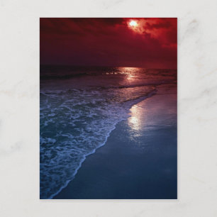 Carte Postale Coucher de soleil, océan, sable, bord de mer, Flor