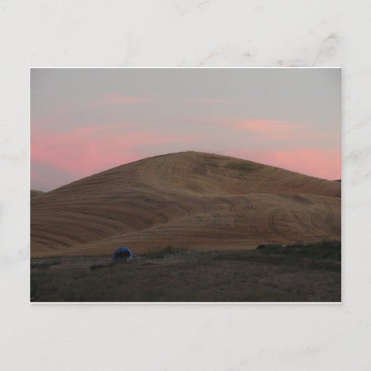Carte Postale Coucher de soleil Omache Farm (Devant)
