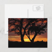 Carte Postale Coucher de soleil orange (Devant / Derrière)