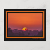 Carte Postale Coucher de soleil orange spectaculaire Palm Tree s (Devant)
