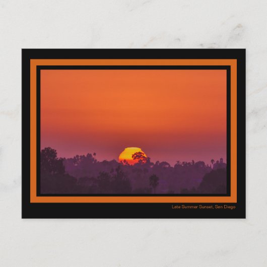 Carte Postale Coucher de soleil orange spectaculaire Palm Tree s (Devant)