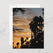 Carte postale Coucher de soleil Palm Tree de Los A (Devant / Derrière)