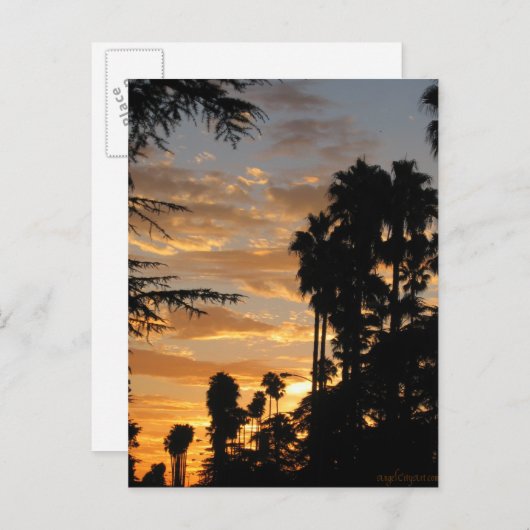 Carte postale Coucher de soleil Palm Tree de Los A (Devant / Derrière)