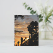 Carte postale Coucher de soleil Palm Tree de Los A (Debout devant)