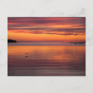 Carte Postale Coucher de soleil par la mer, Finlande CC0157 Cart