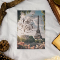 Coucher De Soleil Parisien Avec Tour Eiffel