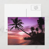 Carte Postale Coucher de soleil pittoresque (Devant / Derrière)