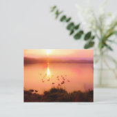 Carte Postale Coucher de soleil rose et de lac de pêche (Debout devant)