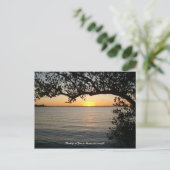 Carte Postale Coucher de soleil sous l'arbre (Debout devant)