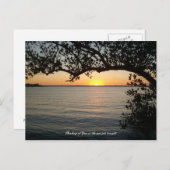 Carte Postale Coucher de soleil sous l'arbre (Devant / Derrière)