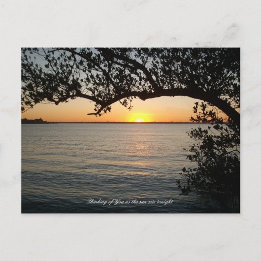 Carte Postale Coucher de soleil sous l'arbre (Devant)