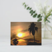 Carte Postale Coucher de soleil subtropical (Debout devant)