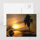 Carte Postale Coucher de soleil subtropical (Devant / Derrière)