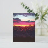 Carte Postale Coucher De Soleil Suffolk Avant Dusk (Debout devant)